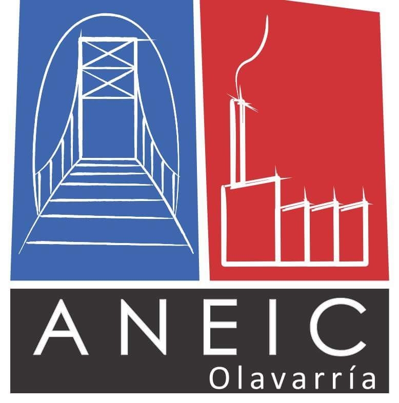 logo aneic
