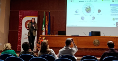Harinas sin gluten: ciencia para lograr pastas nutritivas y de calidad  