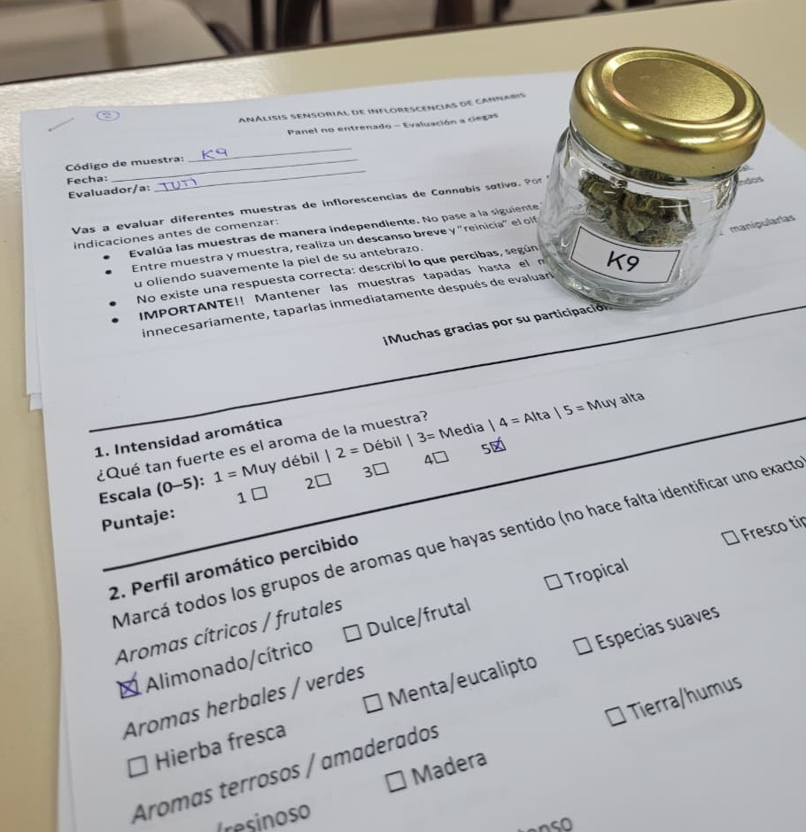 cannabisidi8